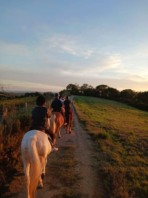 Borgo Cignano: Waiting for the Sunset - Experience Overview