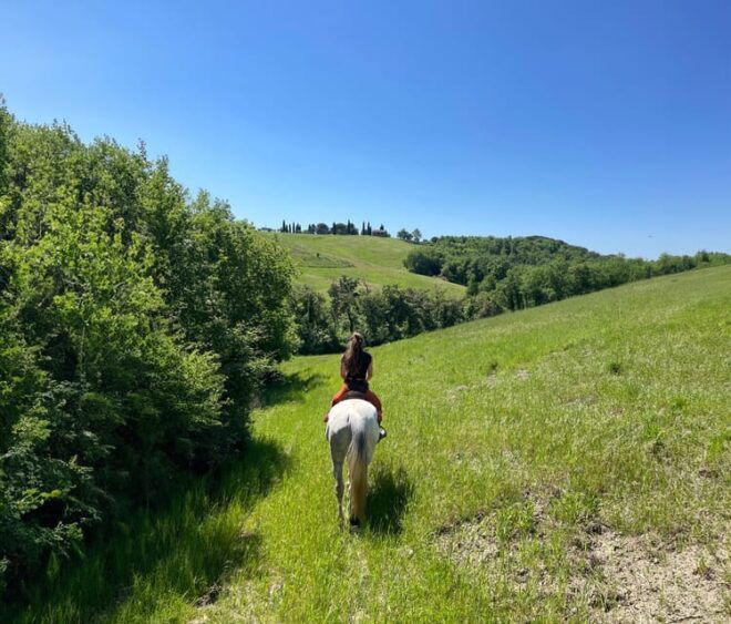 Borgo Cignano: Waiting for the Sunset - Participant Restrictions