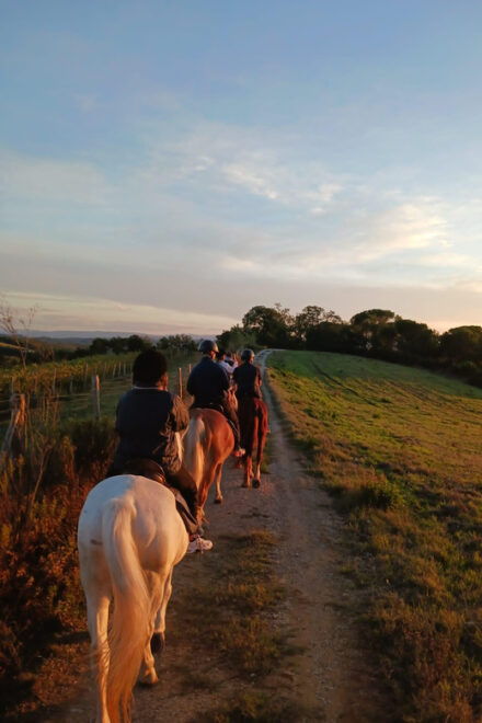 Borgo Cignano: Wine and Horses - Inclusions of the Experience