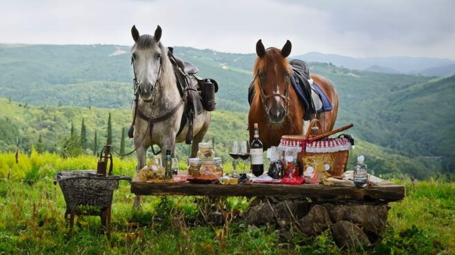 Borgo Cignano: Wine and Horses - Highlights of Borgo Cignano