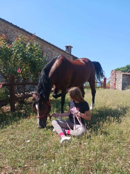 Borgo Cignano: Wine and Horses - How to Book Your Experience