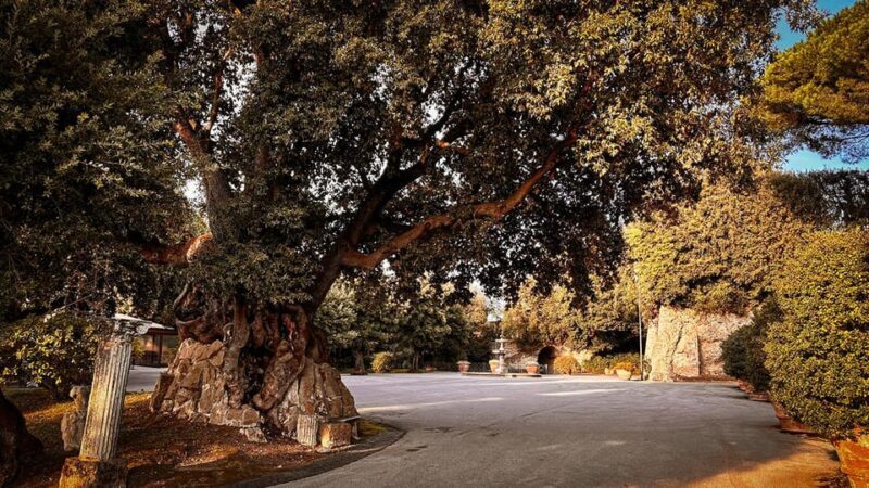Borgo Laudato Si' - Gardens of Villa Barberini - Good To Know