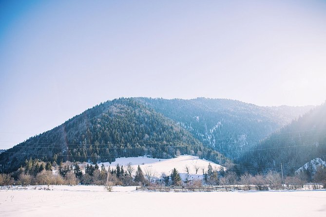 Borjomi-Bakuriani-Private Day Trip From Tbilisi - Inclusions