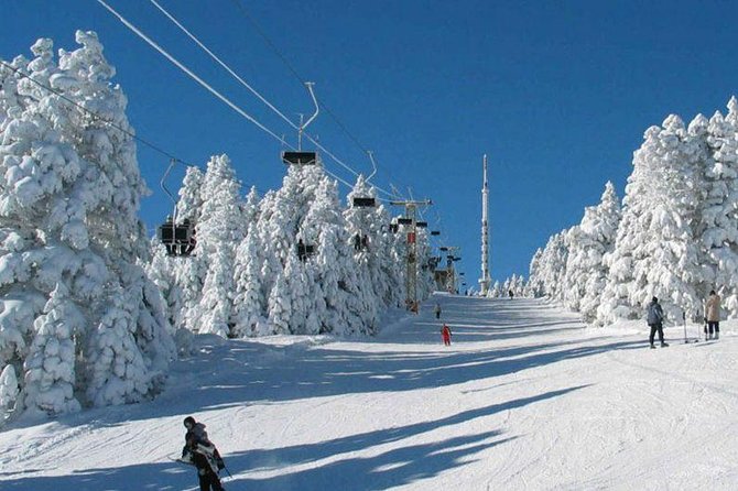 Borjomi-Bakuriani-Private Day Trip From Tbilisi - Pricing Details