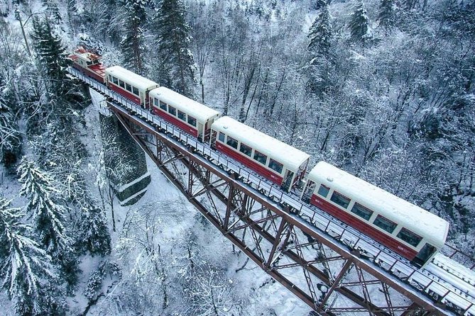 Borjomi/Bakuriani Private Full Day Tour From Tbilisi - Inclusions and Services