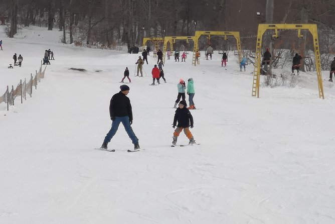 Borjomi/Bakuriani Private Full Day Tour From Tbilisi - Pricing and Reservations