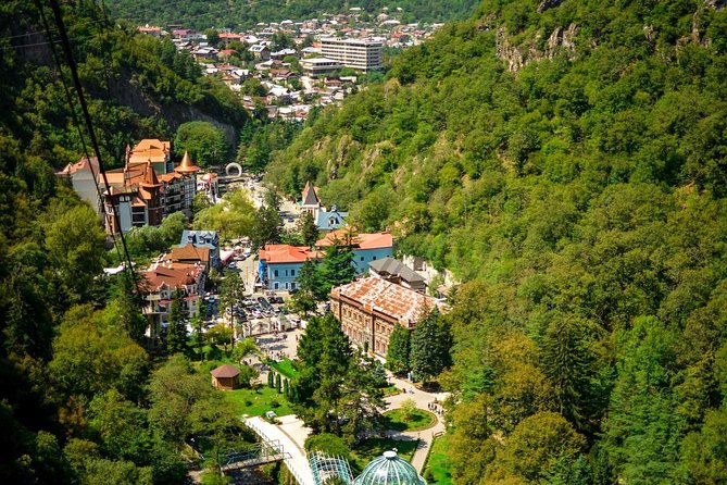 Borjomi/Bakuriani Private Full Day Tour From Tbilisi - Customer Reviews
