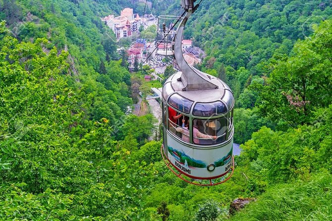 Borjomi Mineral Waters Tour From Tbilisi - Meeting and Pickup Information
