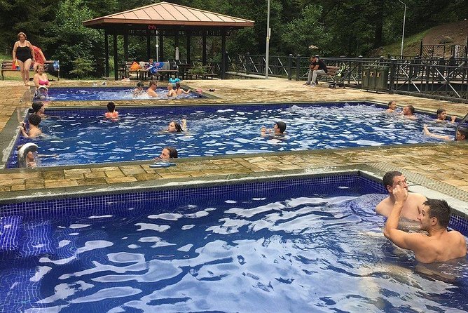 Borjomi Mineral Waters Tour From Tbilisi - Pricing Details