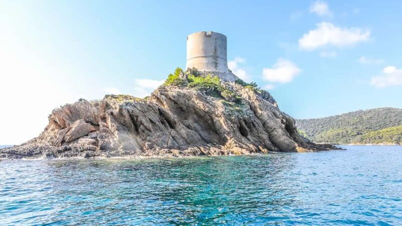 Bormes-les-Mimosas: Sea trip in the heart of Port-Cros National Park - Exploring the Details: What to Expect on the Sea Trip