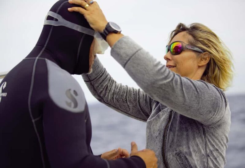 Bormes-les-Mimosas: snorkeling trip - Good To Know