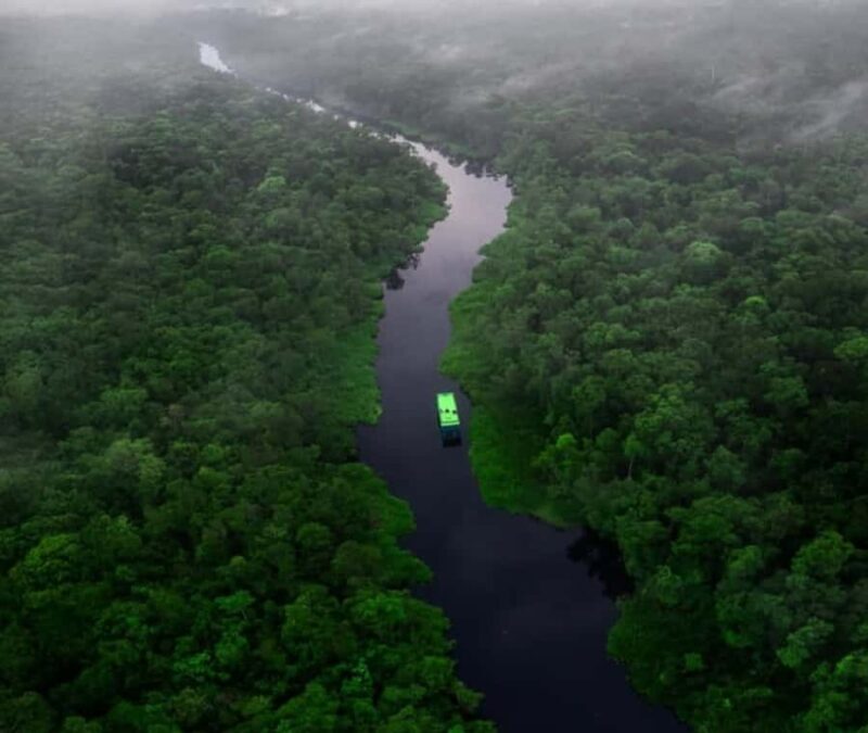 Borneo: 3 Days Orangutan River Cruise from Pangkalan Bun - Who Is This Tour Best Suited For?