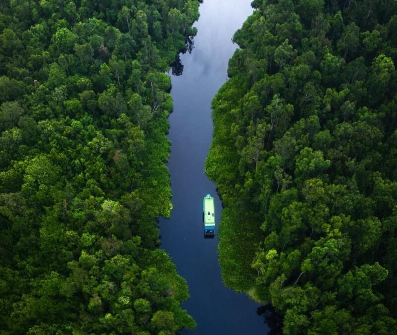 Borneo: 3 Days Orangutan River Cruise from Pangkalan Bun - What Makes This Tour Unique?  