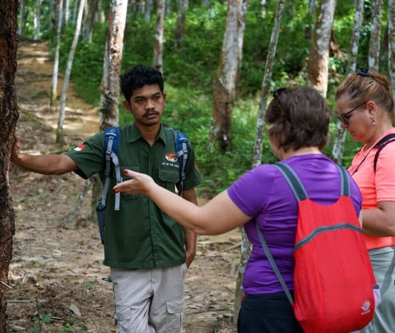 Borneo: 3 Days Orangutan River Cruise from Pangkalan Bun - What to Pack and What to Expect  