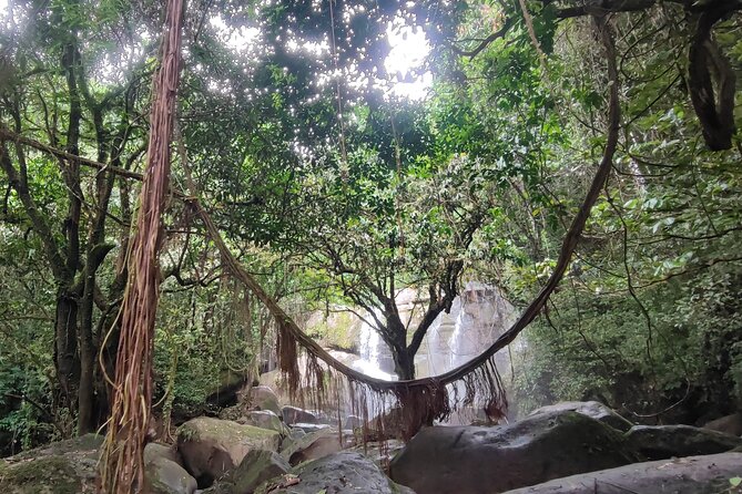 Borneo Native Odyssey: Annah Rais Longhouse & Bengoh Waterfalls - Expectations and Information
