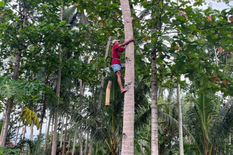 Borobudur: Cycling Tour and Explore Java Villages - Practicalities and Tips