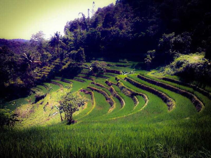 Borobudur Photography Day Tour - Concluding the Day