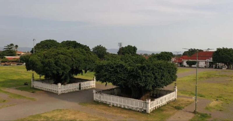 Borobudur to Malioboro: Stones, Spires & City Lights - The Sum Up