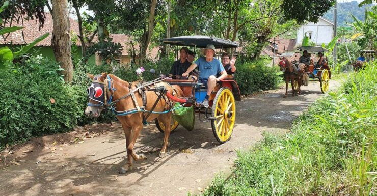 Borobudur Tour to the Top, Andong or Cycling Village Tours - Key Points