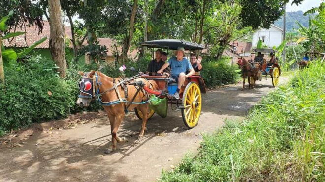 Borobudur Tour to the Top, Andong or Cycling Village Tours - Transportation Options