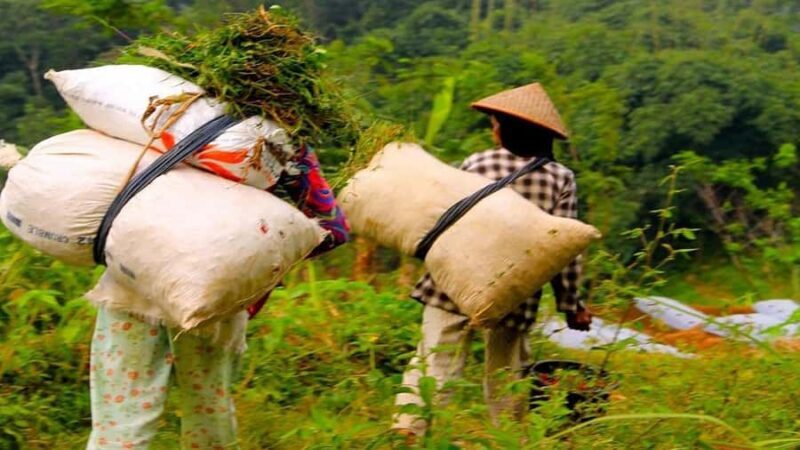 Borobudur Tour & Travel services from Yogyakarta - Other Highlights: Hidden Gems and Natural Beauty