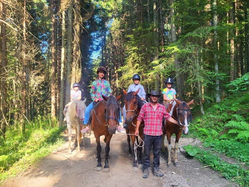 Borovets: Horse Riding Experience - Introduction: Why a Horseback Riding Tour Near Borovets Is a Must-Do