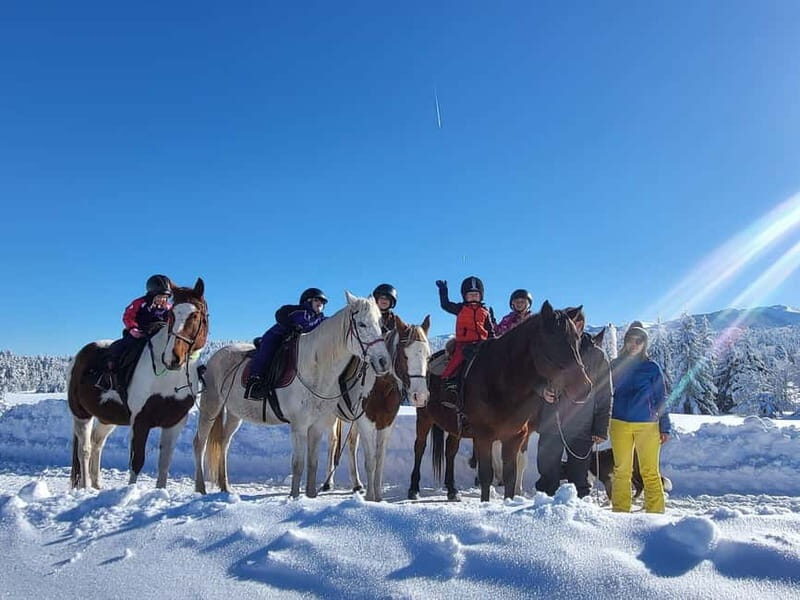 Borovets: Horse Riding Experience - Breaking Down the Itinerary