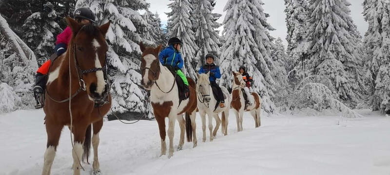 Borovets: Horse Riding Experience - FAQs