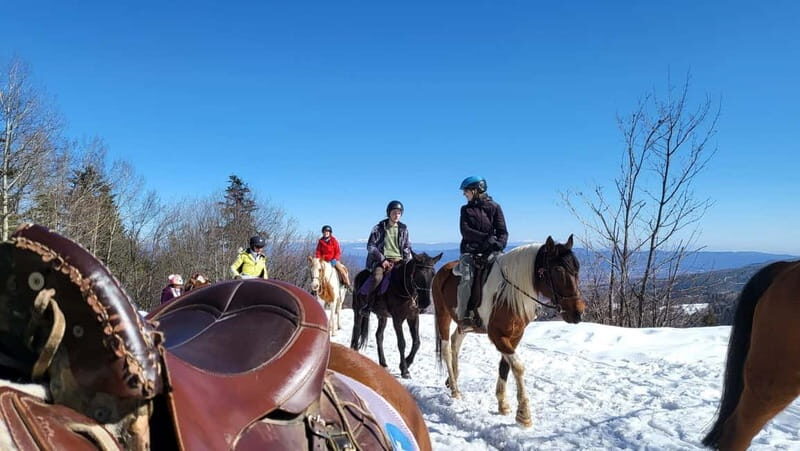 Borovets: Horse Riding Experience - Final Thoughts