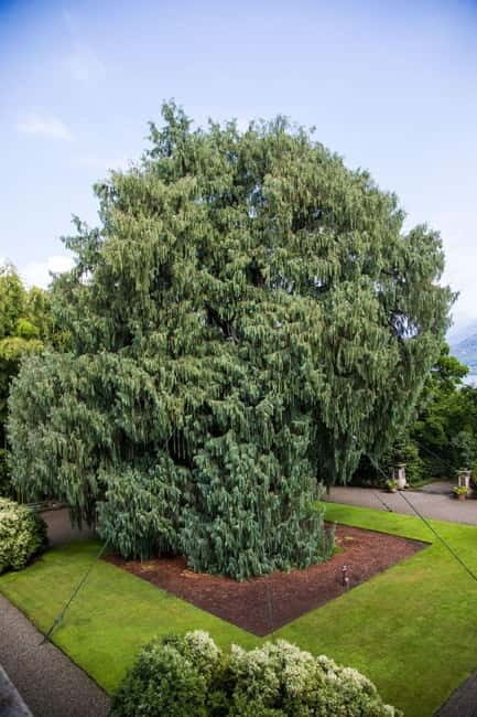 Borromean Islands: Isola Madre Open-Date Entry Ticket - Good To Know