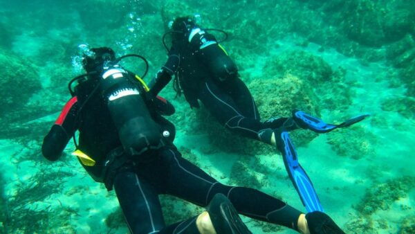 Bosa: 4-Day PADI Open Water Diver Course - The Sum Up