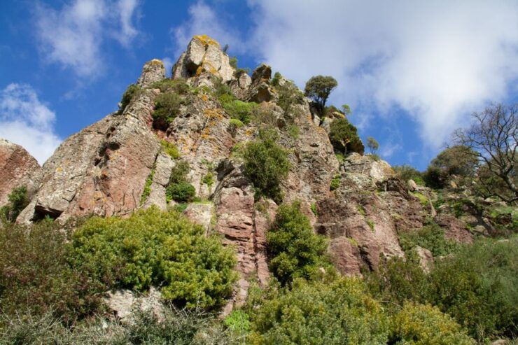 Bosa: Coast and Country Guided Quad Bike Tour - Good To Know