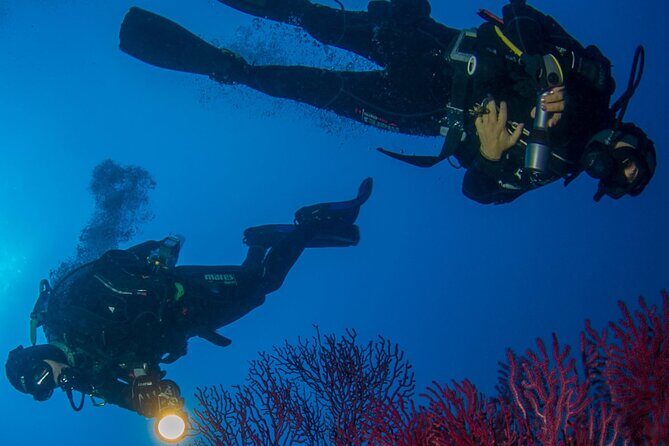 Bosa Diving Baptism - What to Expect During Your Underwater Adventure