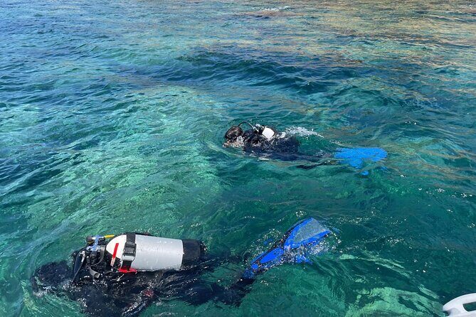 Bosa Diving Baptism - The Experience Provider: Escursì - Experience Sardinia