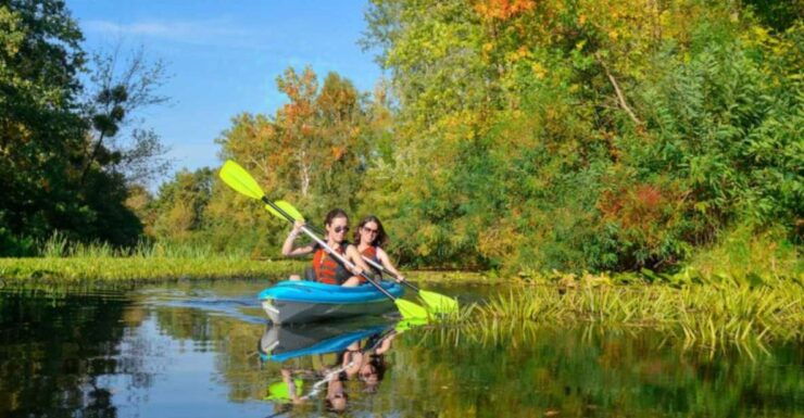 Bosa: Temo River Kayak Rental - Activity Details
