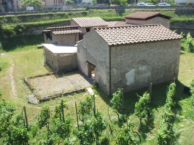 Boscoreale: Antiquarium & Villa Regina Private Tour - Important Information