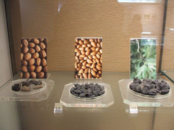 Boscoreale: Antiquarium & Villa Regina Private Tour - The Sum Up