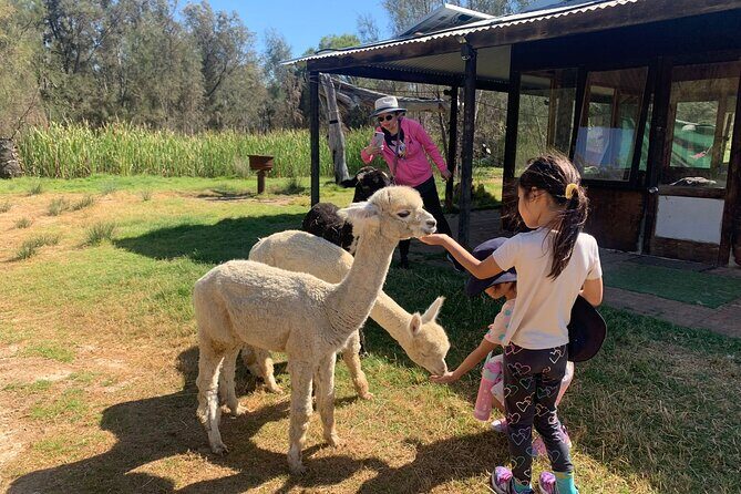 Boshack Farm - Animal, Wildlife, Stargazing Nature Aussie culture - A Complete Breakdown of the Experience