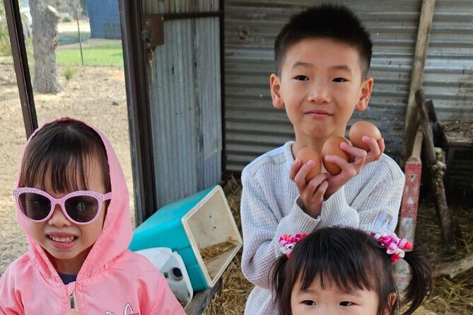 Boshack Farm - Animal, Wildlife, Stargazing Nature Aussie culture - Final Words