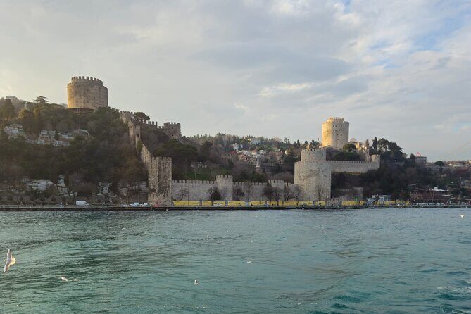 Bosphorus Boat Tour 3 Hour with Asian Side Stop in Istanbul - Introduction