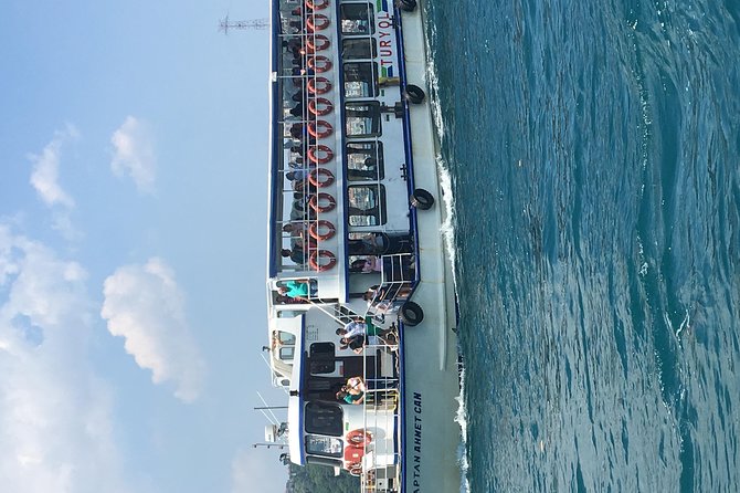 Bosphorus Cruise With Dolmabahçe Palace and Fortresses - End Point and Convenience