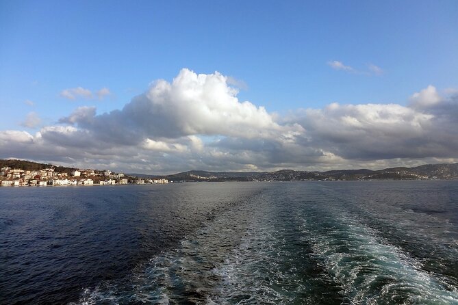 Bosphorus Dinner Cruise - Hygiene and Safety Measures