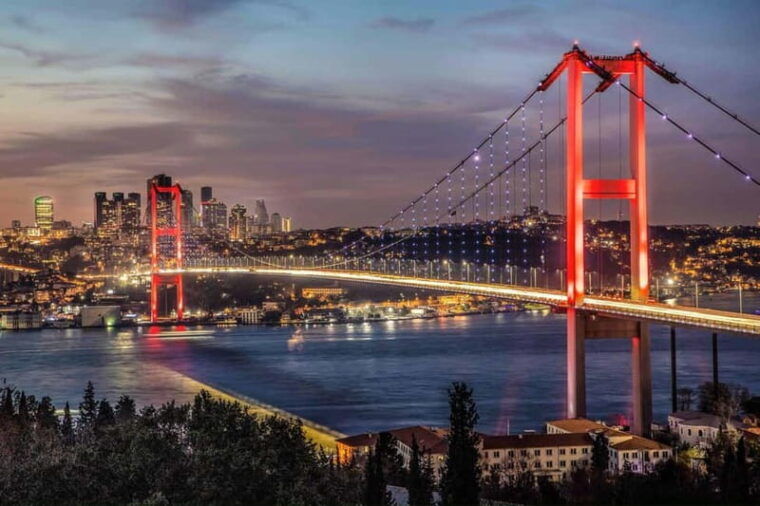 Bosphorus Dinner Cruise & Shows - Who Is This Cruise Best For?