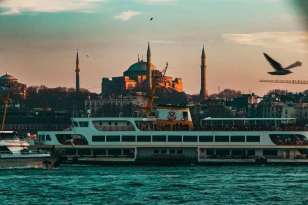 Bosphorus Dinner Cruise With Live Dance Shows (No Alcohol) - Suitability for Wheelchair Users