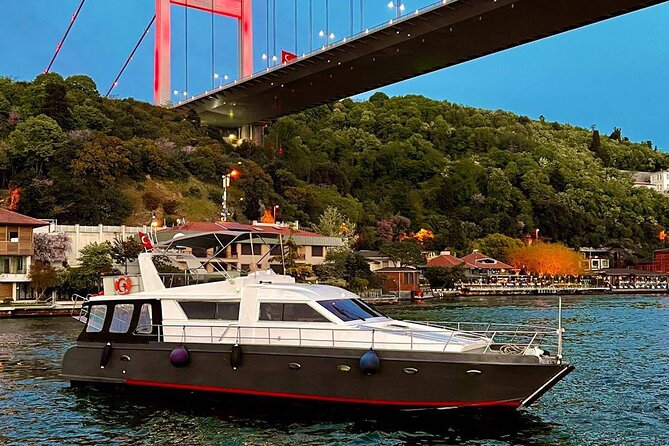 Bosphorus Private 1-Hour Tour on the Boat in Istanbul - Good To Know