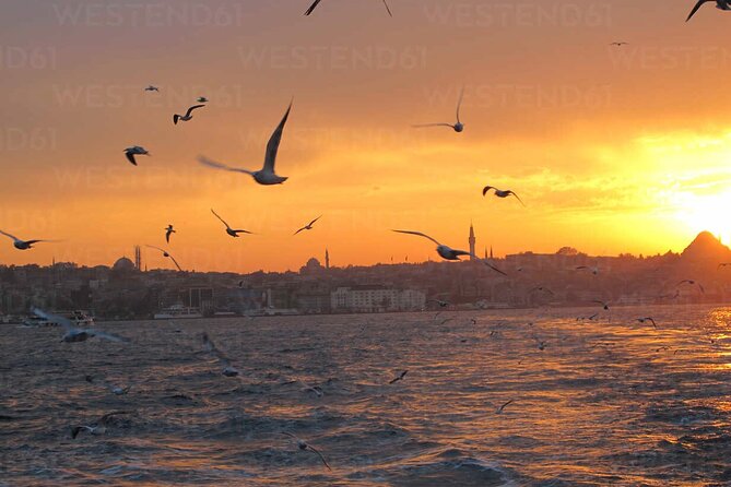 Bosphorus Sunset Serenity Cruise: Set out on a Twilight Odyssey - Relaxing Atmosphere on the Cruise