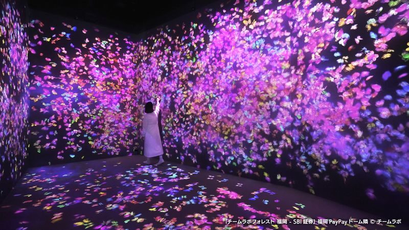 BOSS E ZO FUKUOKA Amusement Facility Ticket in Fukuoka - How to plan your visit and get there