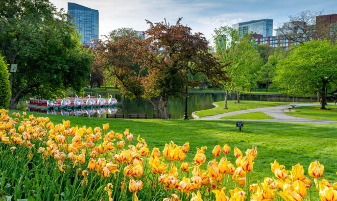 Boston: Back Bay Small Group Walking History Tour - Experience and Themes