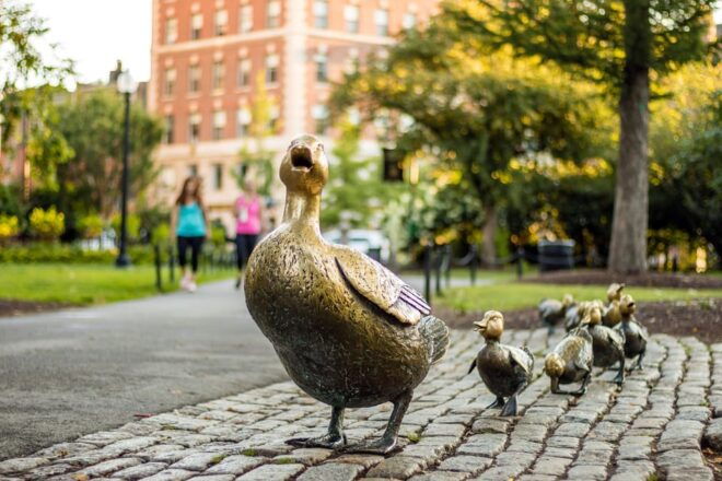 Boston: Back Bay Small Group Walking History Tour - Important Information