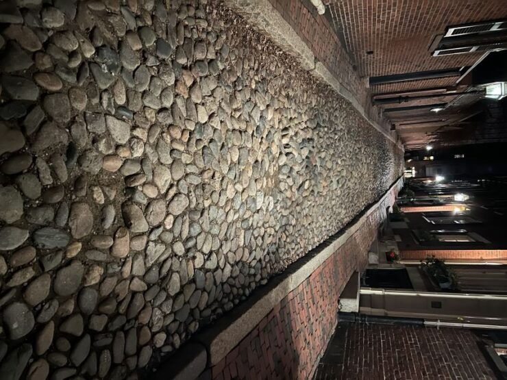 Boston: Beacon Hill True Crime Walking Tour - Experience Highlights